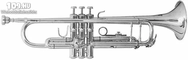 Trombita Bach TR501S Bb.